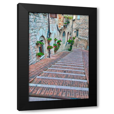 Italy- Umbria- Assisi. Walkway along the streets of Assisi lined with flowering pots. Black Modern Wood Framed Art Print with Double Matting by Eggers, Julie