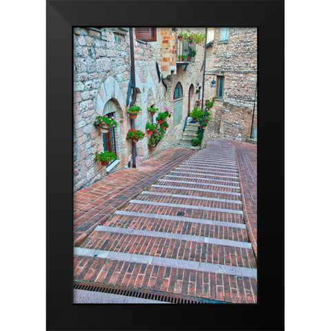 Italy- Umbria- Assisi. Walkway along the streets of Assisi lined with flowering pots. Black Modern Wood Framed Art Print by Eggers, Julie