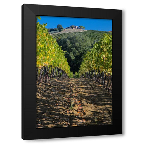 Italy- Umbria. Home surrounded by vineyards. Black Modern Wood Framed Art Print with Double Matting by Eggers, Julie