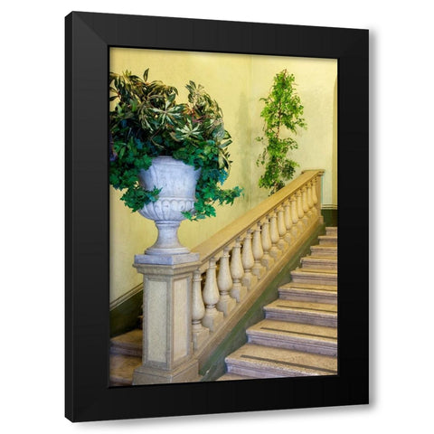 Italy- Umbria- Spoleto. Concrete urn filled with greenery on the end of a banister of a staircase. Black Modern Wood Framed Art Print with Double Matting by Eggers, Julie