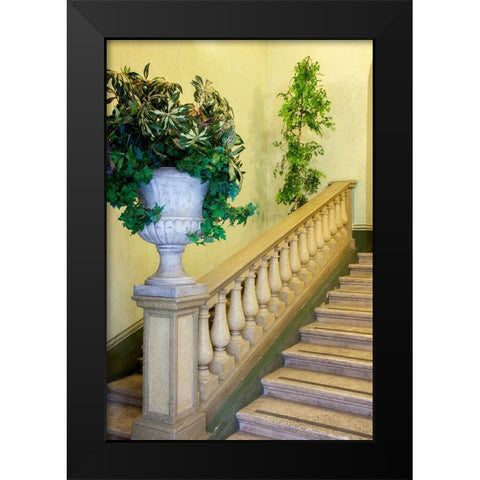 Italy- Umbria- Spoleto. Concrete urn filled with greenery on the end of a banister of a staircase. Black Modern Wood Framed Art Print by Eggers, Julie
