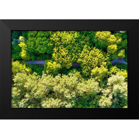 Italy-Mantua-forest treetops Black Modern Wood Framed Art Print by Molinari, Michele