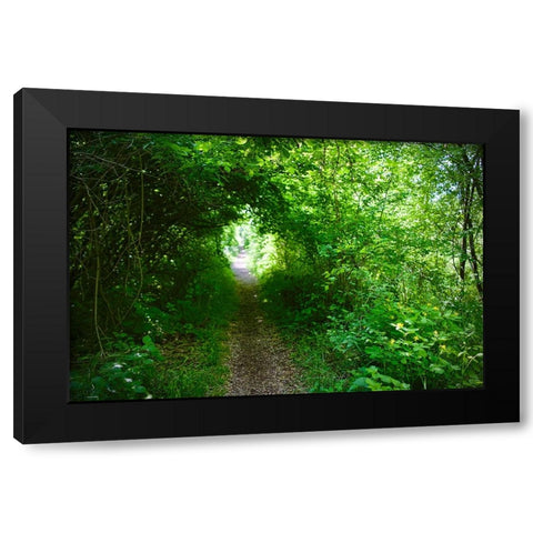 Italy-trail in the forest Black Modern Wood Framed Art Print with Double Matting by Molinari, Michele