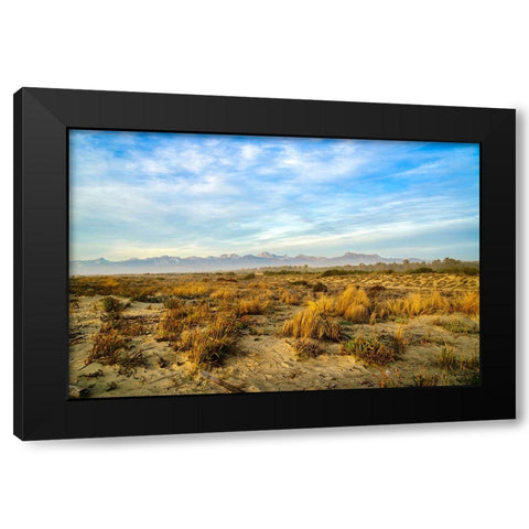 Italy-Riserva Naturale di Massaciuccoli San Rossore-protected coastal forest in Tuscany Black Modern Wood Framed Art Print with Double Matting by Molinari, Michele