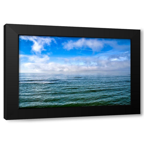 Italy-Riserva Naturale di Massaciuccoli San Rossore-protected coastal forest in Tuscany Black Modern Wood Framed Art Print by Molinari, Michele