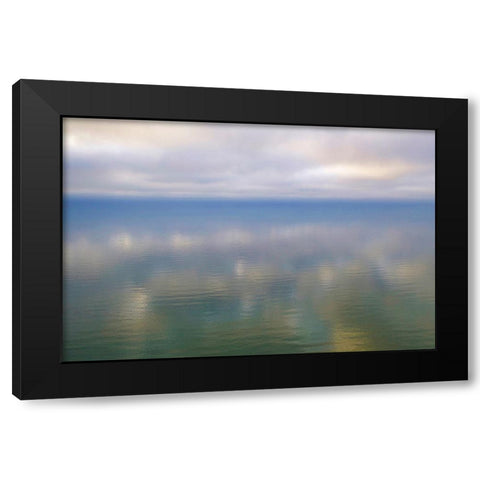 Italy-Riserva Naturale di Massaciuccoli San Rossore-protected coastal forest in Tuscany Black Modern Wood Framed Art Print by Molinari, Michele