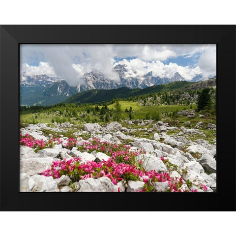 Croda da Lago in the Dolomites of the Veneto near Cortina dAmpezzo-view towards Sorapis  Black Modern Wood Framed Art Print by Zwick, Martin