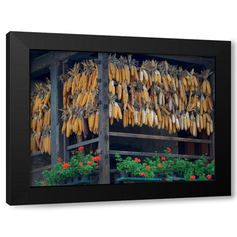 Molveno at lake Lago di Molveno in the Dolomiti di Brenta Dolomites Black Modern Wood Framed Art Print by Zwick, Martin