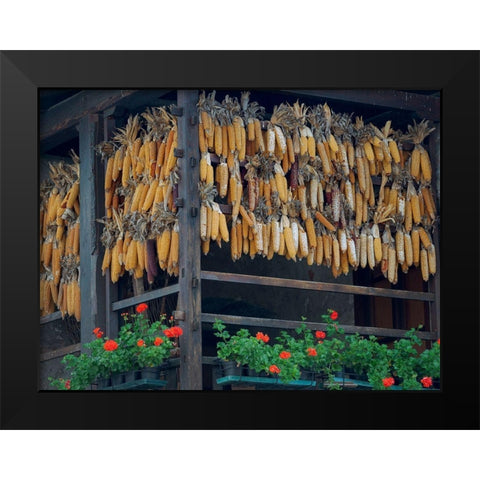 Molveno at lake Lago di Molveno in the Dolomiti di Brenta Dolomites Black Modern Wood Framed Art Print by Zwick, Martin