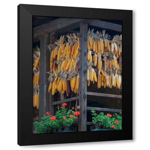 Molveno at lake Lago di Molveno in the Dolomiti di Brenta Dolomites Black Modern Wood Framed Art Print with Double Matting by Zwick, Martin