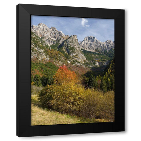 Peaks of Dolomiti di Brenta high above Val dAlgone Dolomiti di Brenta  Italy-Trentino Black Modern Wood Framed Art Print by Zwick, Martin