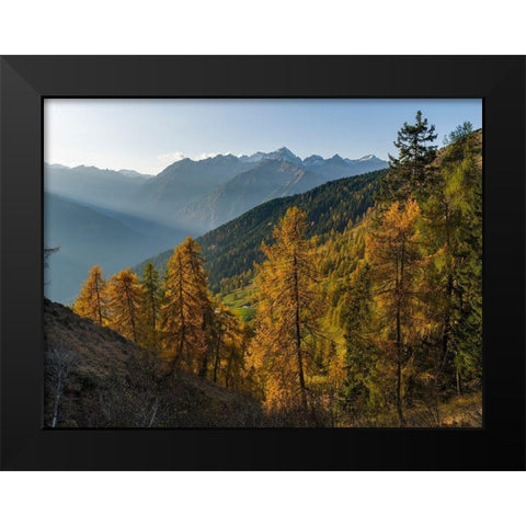 Peaks of Presanella mountain range above Val Rendena-seen from Brenta mountain range Italy Black Modern Wood Framed Art Print by Zwick, Martin