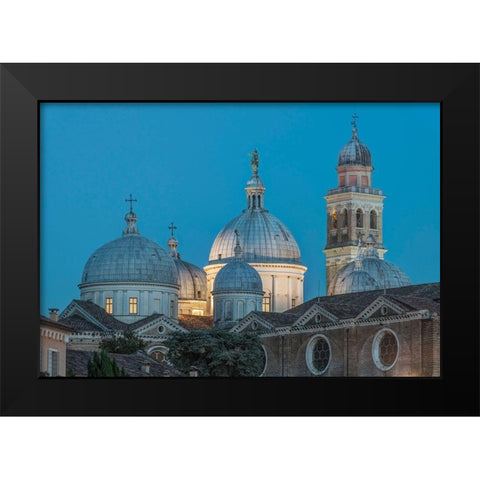 Italy-Padua-Basilica of St Anthony Black Modern Wood Framed Art Print by Tilley, Rob