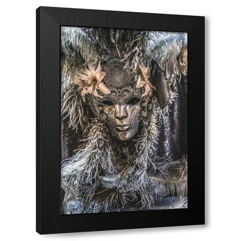 Silver Venetian mask feathers-Venice-Italy-Used since 1200s for Carnival-Also used for Mardi Gras Black Modern Wood Framed Art Print with Double Matting by Perry, William