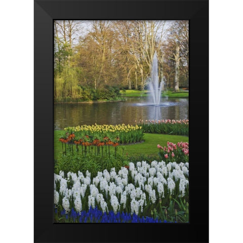 Netherlands, Lisse Garden scenic with a fountain Black Modern Wood Framed Art Print by Flaherty, Dennis