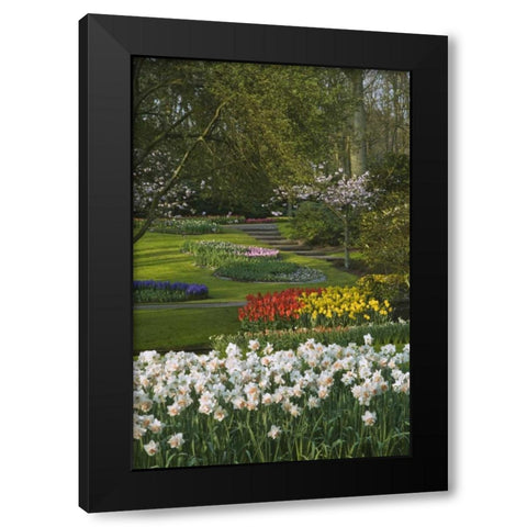 Netherlands, Lisse Manicured garden beds Black Modern Wood Framed Art Print by Flaherty, Dennis