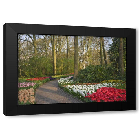Netherlands, Lisse Path through garden flowers Black Modern Wood Framed Art Print with Double Matting by Flaherty, Dennis
