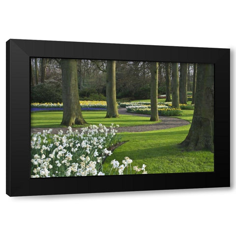 Netherlands, Lisse Blooming flowers and trees Black Modern Wood Framed Art Print with Double Matting by Flaherty, Dennis