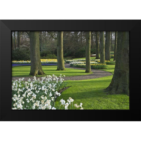 Netherlands, Lisse Blooming flowers and trees Black Modern Wood Framed Art Print by Flaherty, Dennis