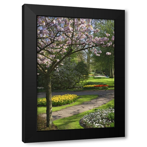 Netherlands, Lisse Garden park in Spring Black Modern Wood Framed Art Print with Double Matting by Flaherty, Dennis