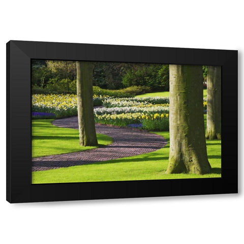 Holland, Lisse Curving path through a gardens Black Modern Wood Framed Art Print with Double Matting by Flaherty, Dennis