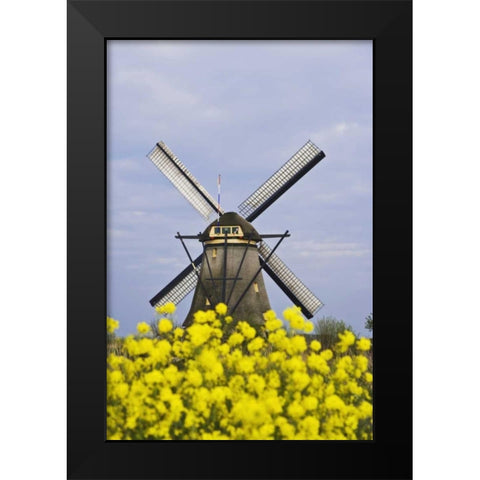 Netherlands, Kinderdijk Windmill with flowers Black Modern Wood Framed Art Print by Flaherty, Dennis