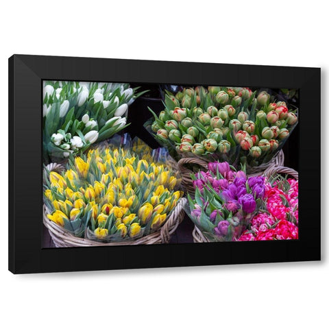 Netherlands-Amsterdam Tulip bouquets on display by vendor  Black Modern Wood Framed Art Print by Jaynes Gallery