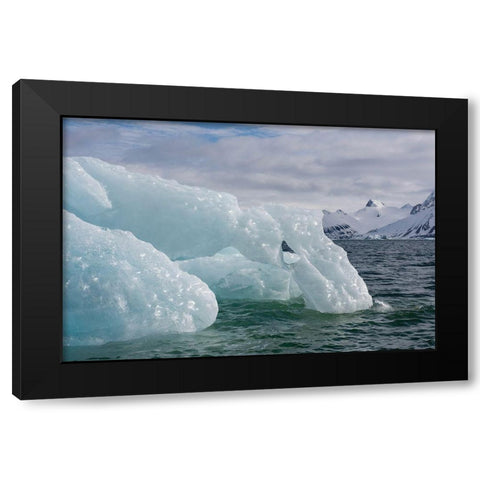 Norway-Svalbard-Spitsbergen-Hornsund Black Modern Wood Framed Art Print by Hopkins, Cindy Miller