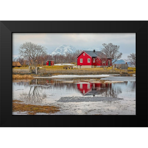 Norway- Lofoten Islands. View across Indrepollen Lake. Black Modern Wood Framed Art Print by Looney, Hollice
