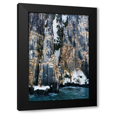 Brunnichs Guillemots-Uria lomvia-Alkefjellet-Spitsbergen-Svalbard Islands-Norway Black Modern Wood Framed Art Print with Double Matting by Pitamitz, Sergio