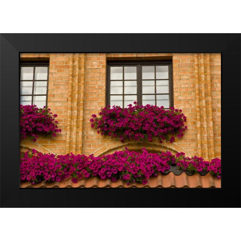 Poland, Gdansk Window boxes with purple petunias Black Modern Wood Framed Art Print by Ross, Nancy ,  Steve