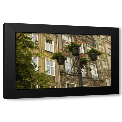Poland, Gdansk Flower pots decorate buildings Black Modern Wood Framed Art Print by Ross, Nancy ,  Steve