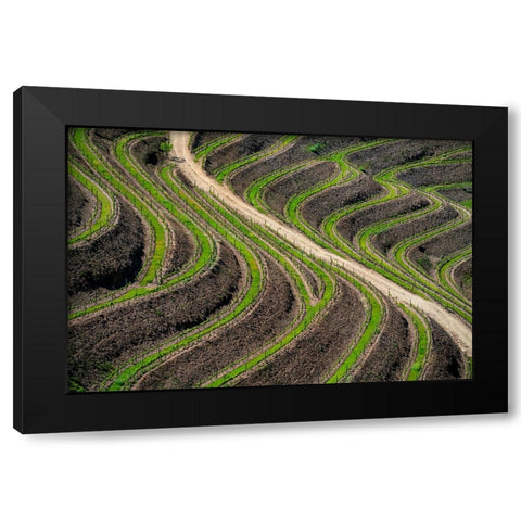 Europe-Portugal-Douro Valley-Vineyard patterns Black Modern Wood Framed Art Print by Jaynes Gallery