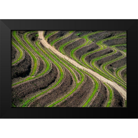 Europe-Portugal-Douro Valley-Vineyard patterns Black Modern Wood Framed Art Print by Jaynes Gallery
