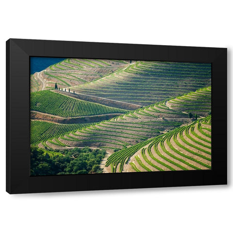 Europe-Portugal-Douro Valley-Vineyard patterns Black Modern Wood Framed Art Print with Double Matting by Jaynes Gallery