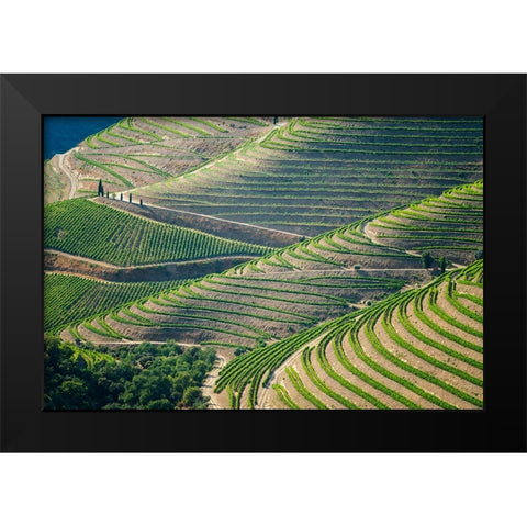 Europe-Portugal-Douro Valley-Vineyard patterns Black Modern Wood Framed Art Print by Jaynes Gallery