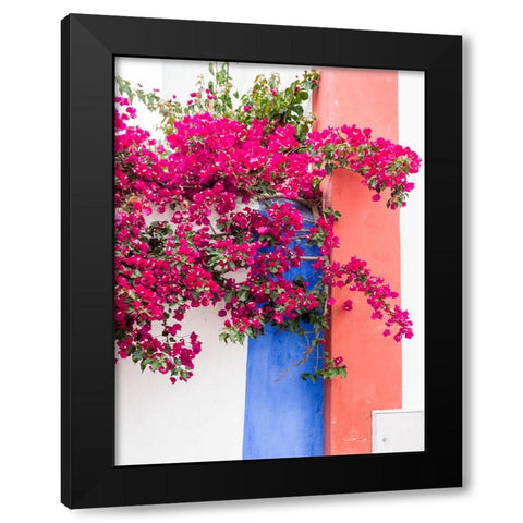Portugal-Obidos-Dark pink bougainvillea vine against a blue-orange and white striped wall Black Modern Wood Framed Art Print with Double Matting by Eggers, Julie