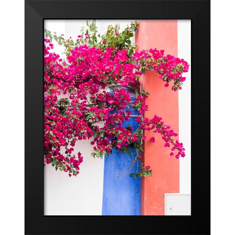 Portugal-Obidos-Dark pink bougainvillea vine against a blue-orange and white striped wall Black Modern Wood Framed Art Print by Eggers, Julie