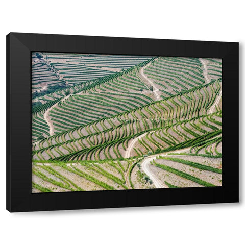 Portugal-Douro Valley-Terraced vineyards lining the hills Black Modern Wood Framed Art Print by Eggers, Julie