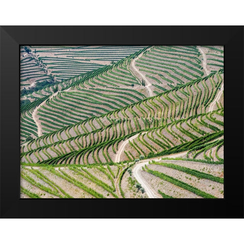 Portugal-Douro Valley-Terraced vineyards lining the hills Black Modern Wood Framed Art Print by Eggers, Julie