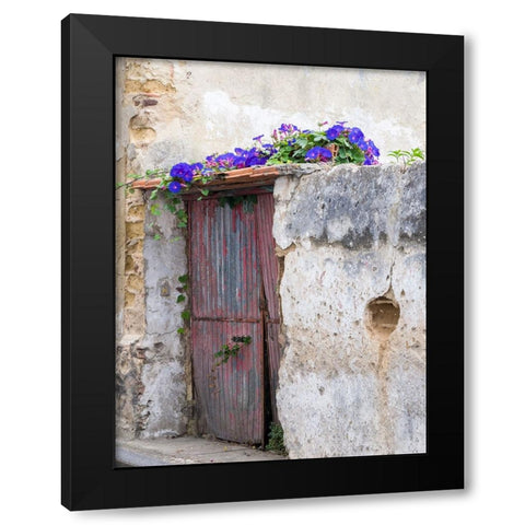 Portugal-Aveiro-Old red metal door with bright blue and pink morning glory flower vine covering abo Black Modern Wood Framed Art Print with Double Matting by Eggers, Julie