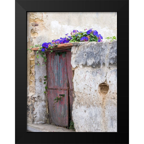 Portugal-Aveiro-Old red metal door with bright blue and pink morning glory flower vine covering abo Black Modern Wood Framed Art Print by Eggers, Julie