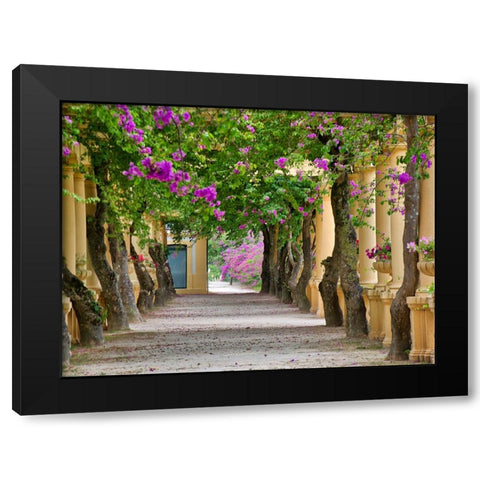 Portugal-Aveiro-Parque Dom Pedro Infante in Aveiro-Stone balustrade with pergola and columns Black Modern Wood Framed Art Print by Eggers, Julie