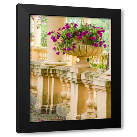 Portugal-Aveiro-Parque Dom Pedro Infante in Aveiro-Stone balustrade with pergola and columns Black Modern Wood Framed Art Print with Double Matting by Eggers, Julie