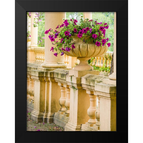 Portugal-Aveiro-Parque Dom Pedro Infante in Aveiro-Stone balustrade with pergola and columns Black Modern Wood Framed Art Print by Eggers, Julie