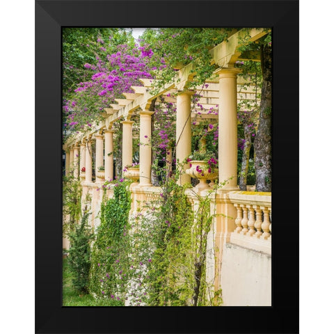 Portugal-Aveiro-Parque Dom Pedro Infante in Aveiro-Stone balustrade with pergola and columns Black Modern Wood Framed Art Print by Eggers, Julie