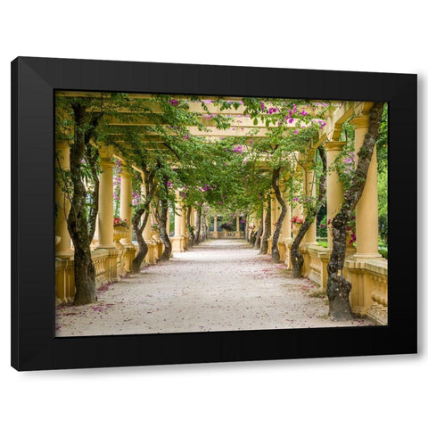 Portugal-Aveiro-Parque Dom Pedro Infante in Aveiro-Stone balustrade with pergola and columns Black Modern Wood Framed Art Print by Eggers, Julie