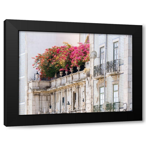 Portugal-Lisbon-Colorful Bougainvillea trailing over balcony of white building Black Modern Wood Framed Art Print with Double Matting by Eggers, Julie
