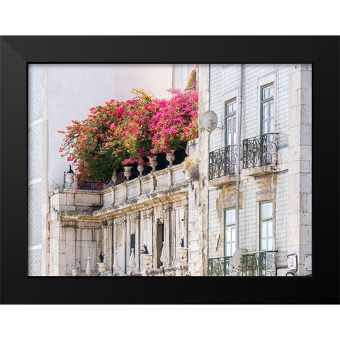 Portugal-Lisbon-Colorful Bougainvillea trailing over balcony of white building Black Modern Wood Framed Art Print by Eggers, Julie