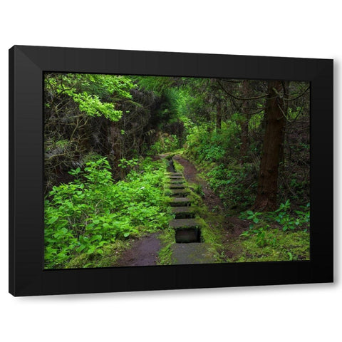 Levada-traditional irrigation channel near Cabeco Gordo in dense forest  Black Modern Wood Framed Art Print by Zwick, Martin